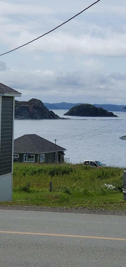 Hillside Cottage 2 Twillingate Eksteriør bilde